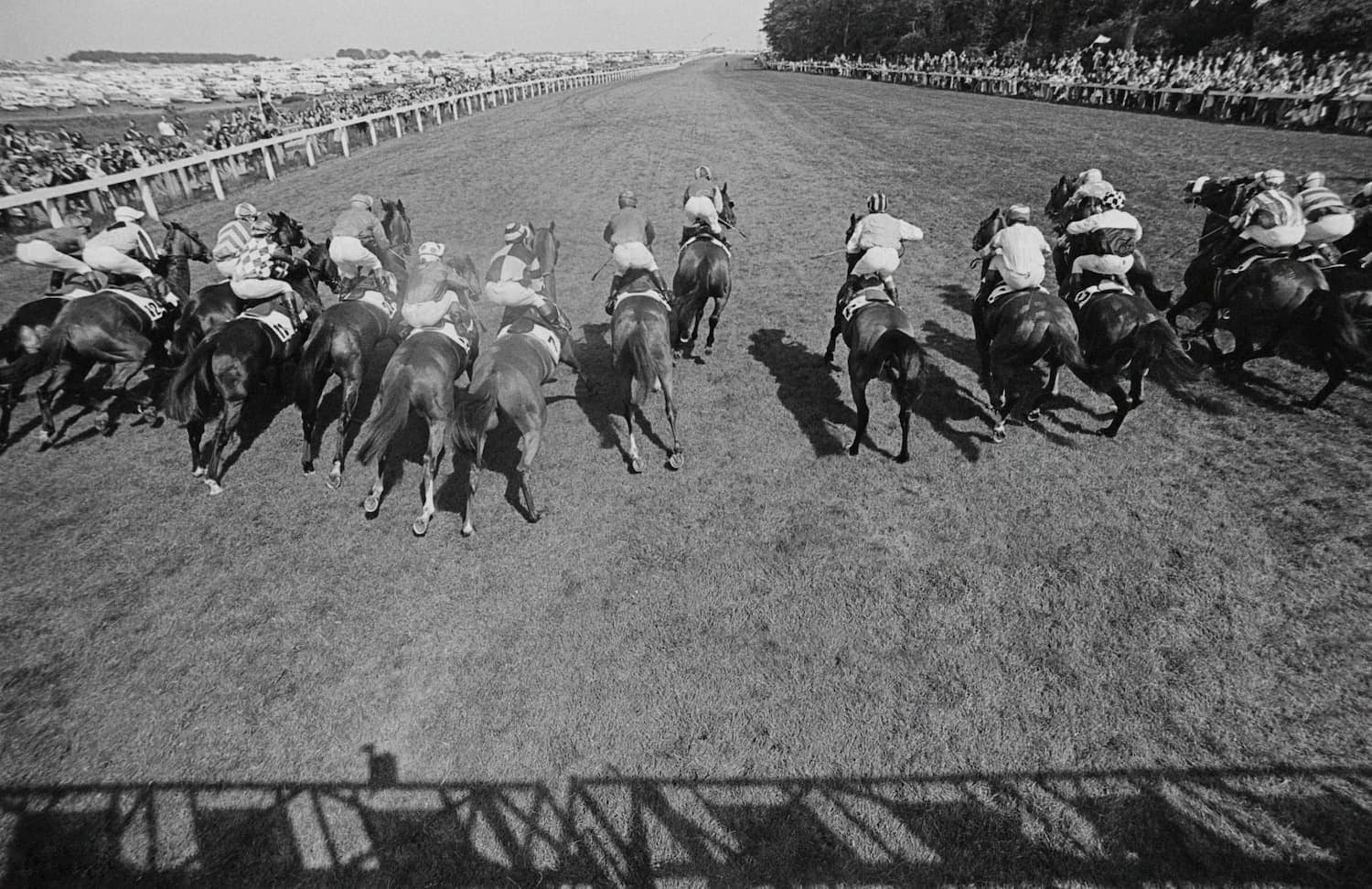 Horse racing at the Derby - sports photograph by Chris Smith