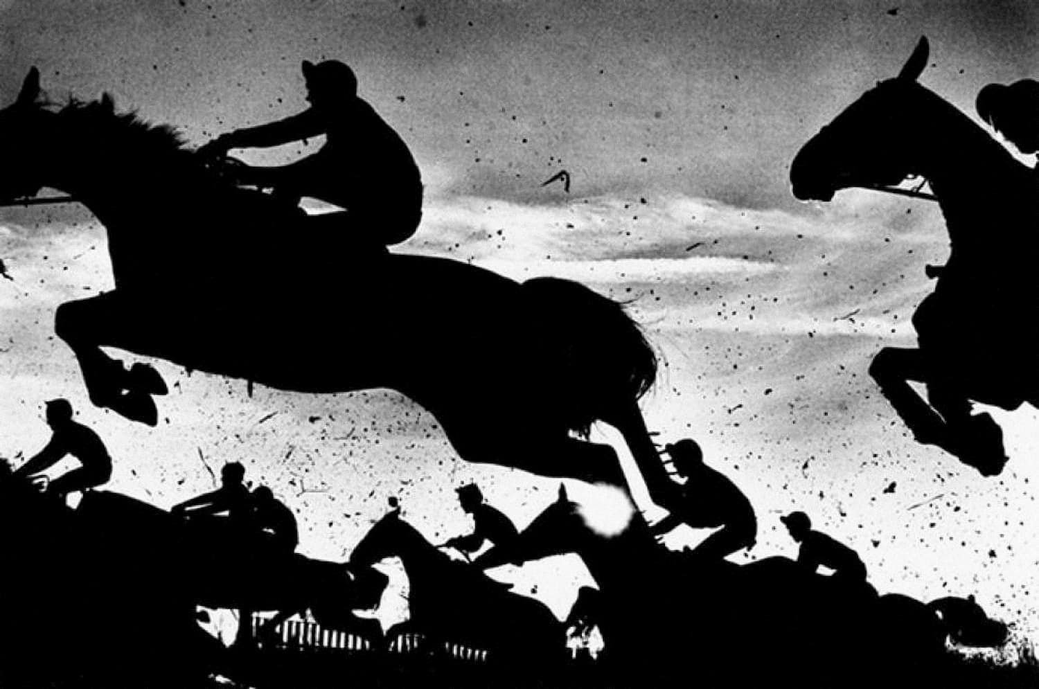 Steeplechase at Newbury Racecourse - sports photograph by Chris Smith