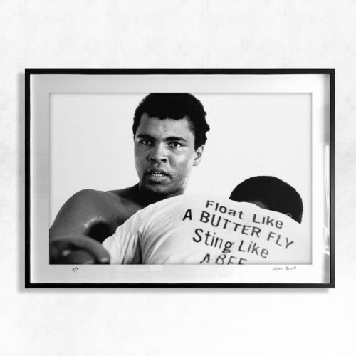 ALI-HOR-002-shop-01-chris-smith-muhammad-ali-photos-photographs-float-like-a-butterfly-sting-like-a-bee.jpg