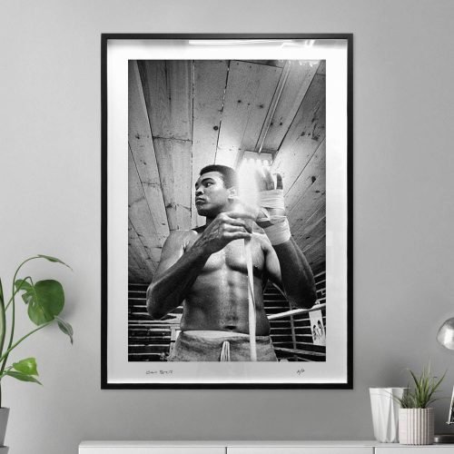 Ready For The Ring - Limited Edition Print by Chris Smith