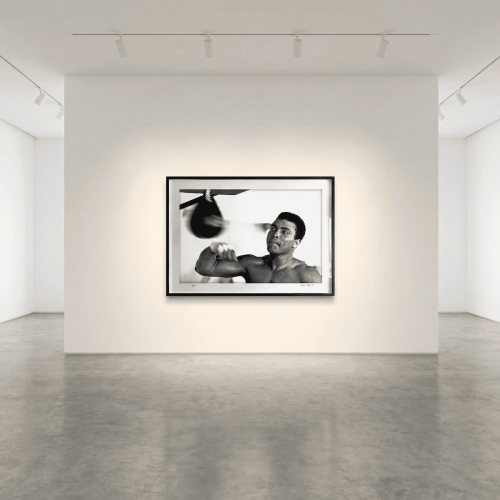 ali_005_gallery