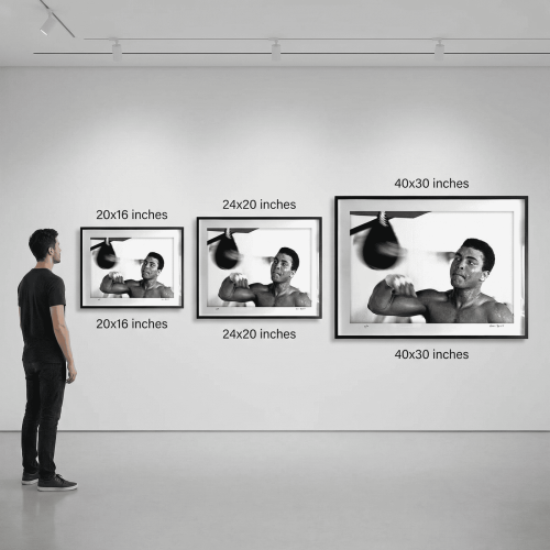 ali_005_sizes