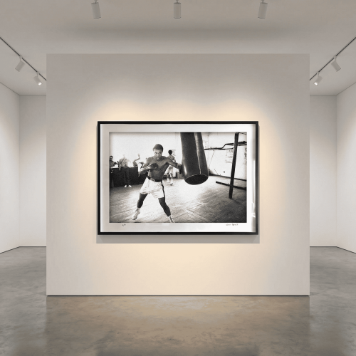 ali_011_gallery_final