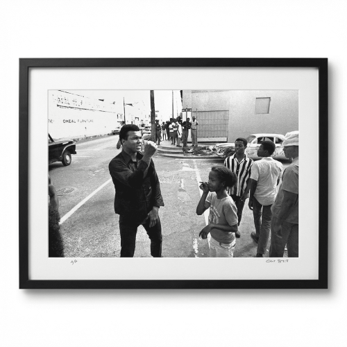 ali_012_clean_final_v3